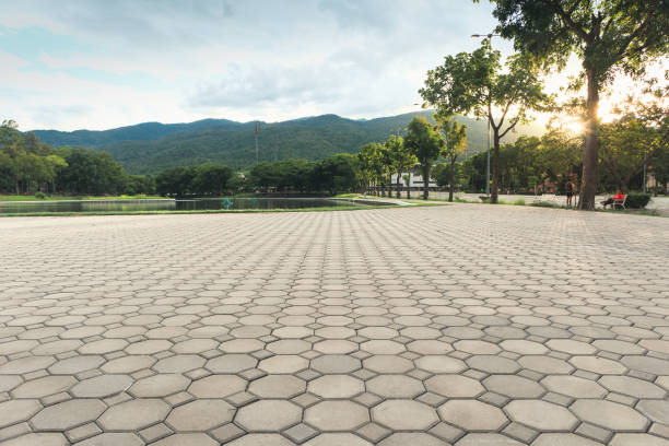 Best Decorative Driveway Pavers  in Wildwood Lake, TN